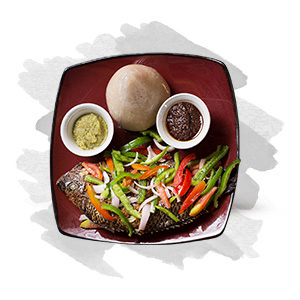 Tilapia